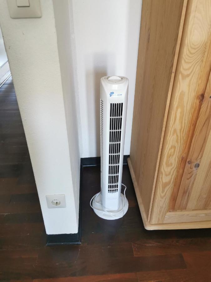 Terrassenwohnung Mit Toller Aussicht & Zentrumsnah Hornberg Ngoại thất bức ảnh